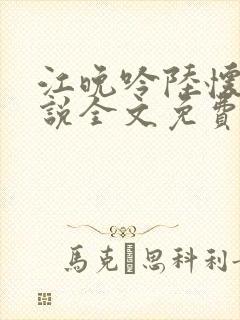 江晚吟陆怀璟小说全文免费阅读