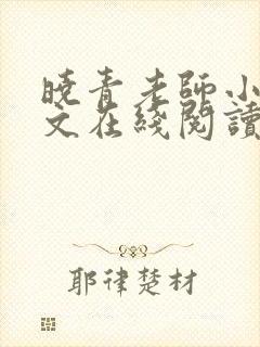 晓青老师小说全文在线阅读封面