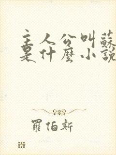 主人公叫苏洛的是什么小说