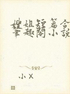 嫂姐短篇合集_笔趣阁小说封面