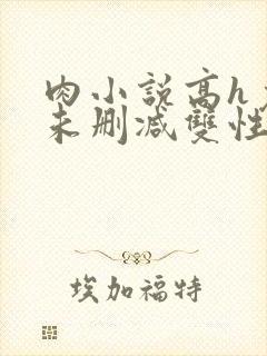 肉小说高h免费未删减双性