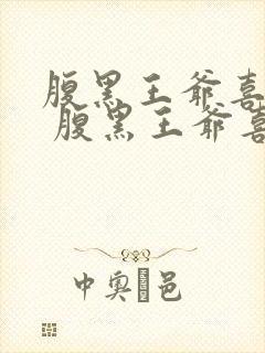 腹黑王爷喜当爹 腹黑王爷喜当爹封面