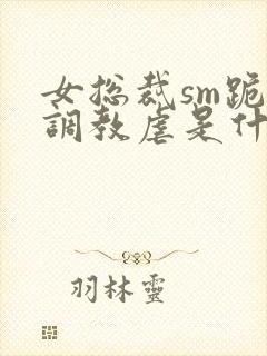 女总裁sm跪爬调教虐是什么