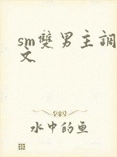 sm双男主调教文