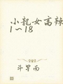 小龙女高辣h文1～18