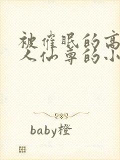 被催眠的高冷美人仙尊的小说黄蛮