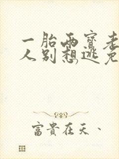 一胎两宝老婆大人别想逃免费阅读全文小说封面