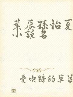 叶辰孙怡夏若雪小说名