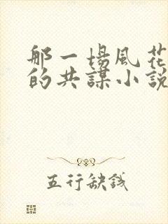 那一场风花雪月的共谋小说读