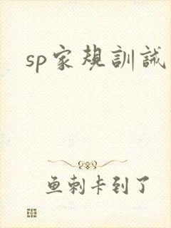 sp家规训诫