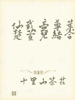 仙武帝尊叶辰和楚萱儿结合是哪一章