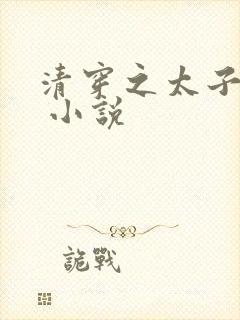 清穿之太子娇妃 小说