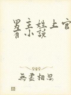 男主姓上官的所有小说封面