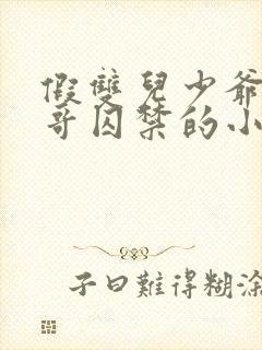 假双儿少爷被大哥囚禁的小说