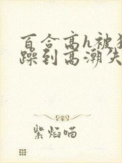 百合高h被狂c躁到高潮失禁女小说