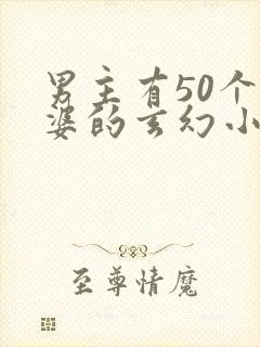 男主有50个老婆的玄幻小说封面