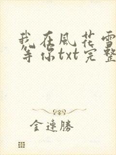 我在风花雪月里等你txt完整版