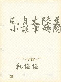 风月大陆叶天龙小说笔趣阁