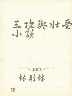 三攻与壮受生子小说
