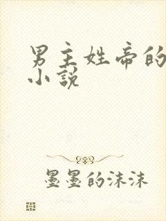 男主姓帝的玄幻小说