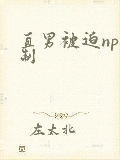 直男被迫np强制