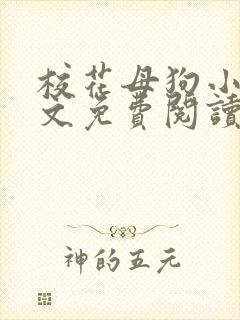 校花母狗小说全文免费阅读笔趣阁