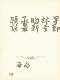 顾承昀林星禾小说最新章节免费阅读封面