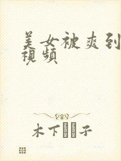 美女被爽到高潮视频