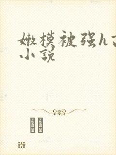 嫩模被强h高h小说