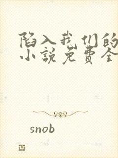 陷入我们的热恋小说免费全文阅读