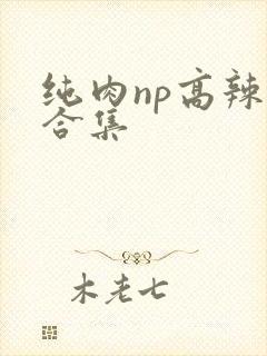 纯肉np高辣文合集