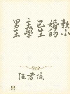 男主已婚教授女主学生的小说封面