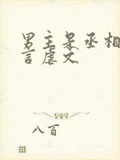 男主是丞相的古言虐文