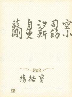 苏月汐司空靖刚刚更新的小说