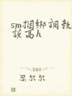 sm捆绑调教小说高h