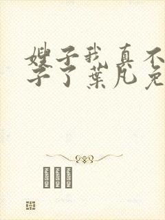 嫂子我真不是傻子了叶凡免费阅读全文小说