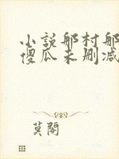 小说那村那人那傻瓜未删减版