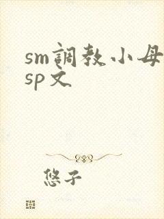 sm调教小母狗sp文