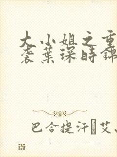 大小姐之重生逆袭叶琛时锦