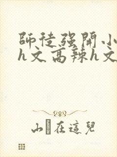 师徒强开小嫩苞h文高辣h文