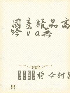 国产精品高潮呻吟ⅴa无