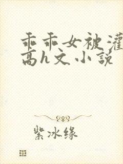 乖乖女被灌满精高h文小说封面