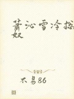 萧沁雪冷总裁萧奴封面