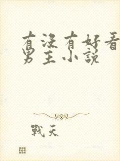 有没有好看的双男主小说