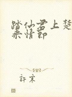 踏仙君上楚妃骑乘情节