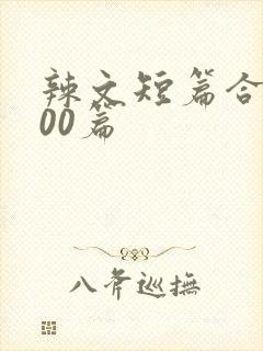 辣文短篇合集500篇封面