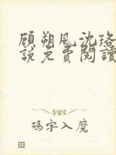 顾朔风沈珞舒小说免费阅读最新章节