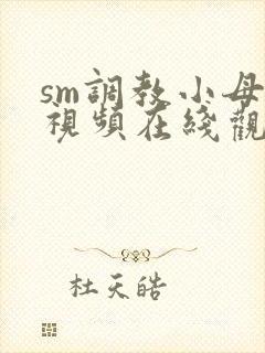 sm调教小母狗视频在线观看