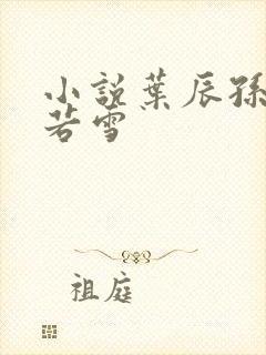 小说叶辰孙怡夏若雪封面