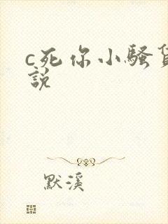 c死你小骚货小说封面